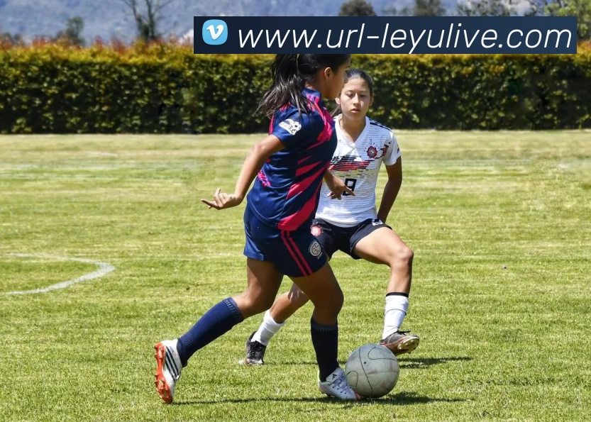 乐鱼体育APP 封面图